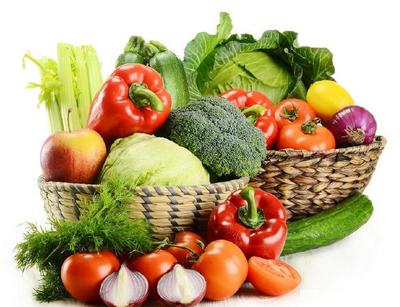 种子植物给人类到来了什么